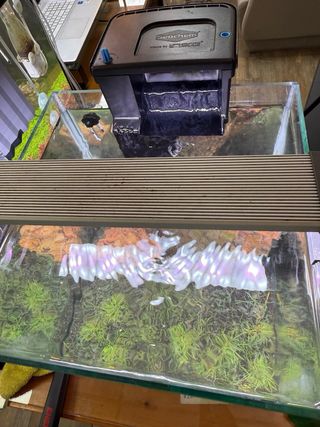 acuario completo
