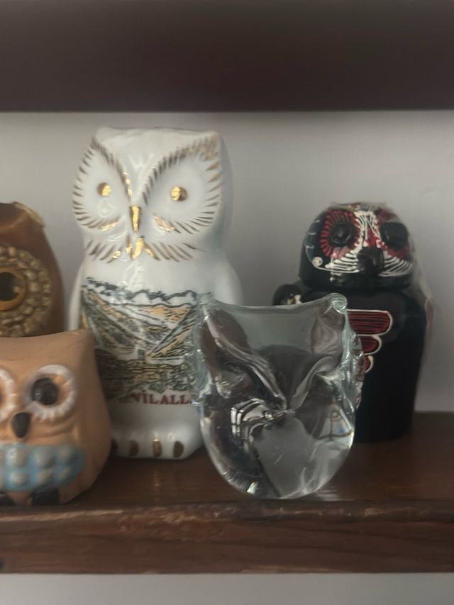 Colección de Búhos Decorativos