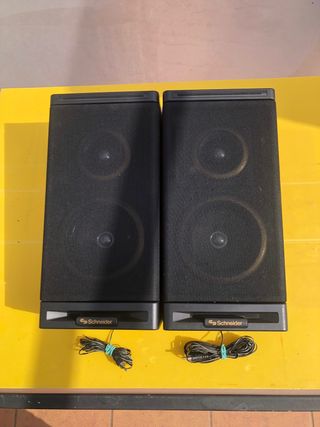 Altavoces Schneider Negros