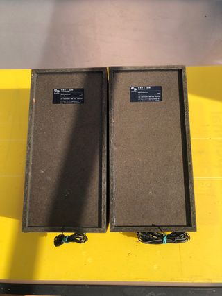 Altavoces Schneider Negros