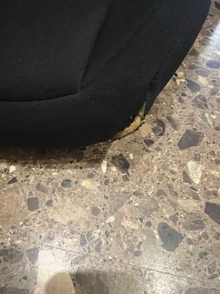 Silla coche Cybex Solution X2-Fix