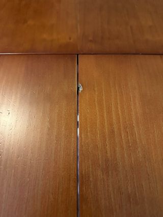 Mesa de comedor extensie de madera, con 6 sillas.
