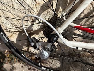 Specialized Elite Secteur
