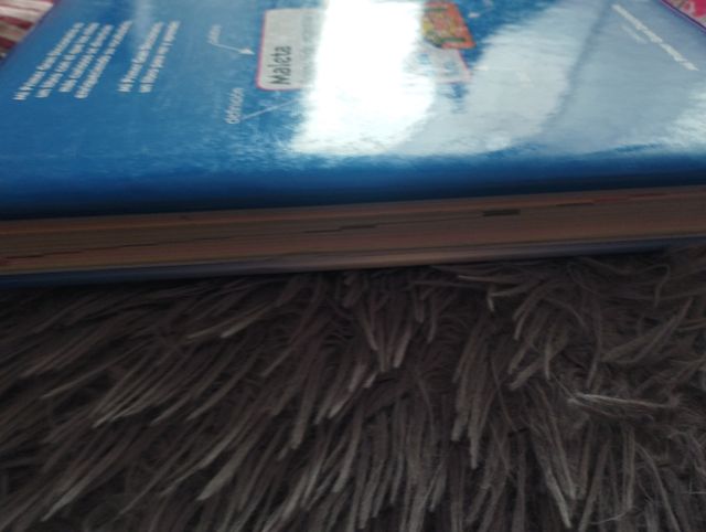 MI PRIMER GRAN DICCIONARIO / PD.