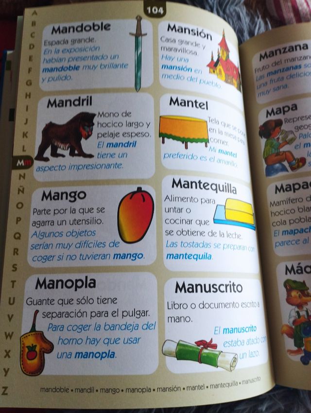 MI PRIMER GRAN DICCIONARIO / PD.