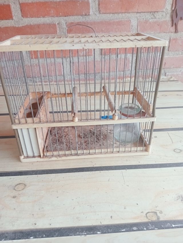 Jaula para silvestrismo