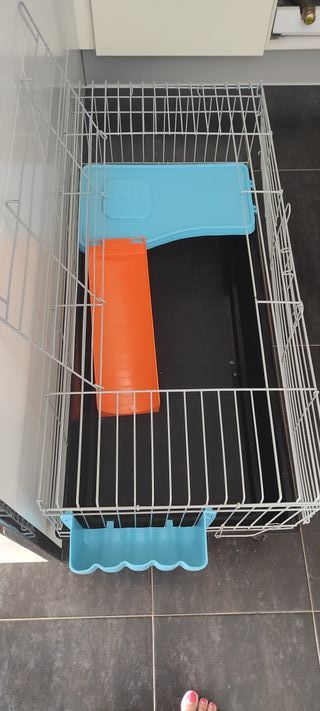 Jaula para cobaya/conejo con accesorios