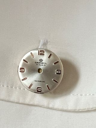 copri-bottoni unisex quadranti Darwil 17 rubis