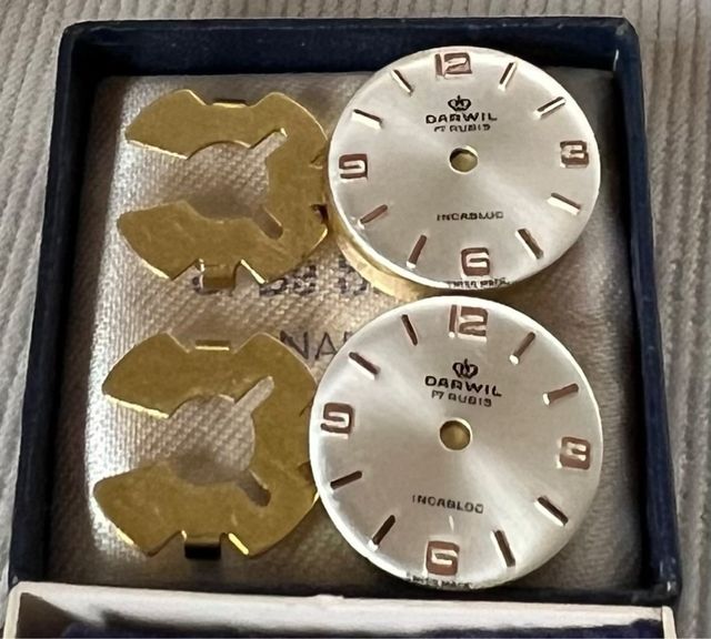 copri-bottoni unisex quadranti Darwil 17 rubis