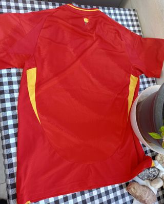 Camiseta de España talla L 