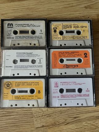 Lote de Casetes de Música Variada