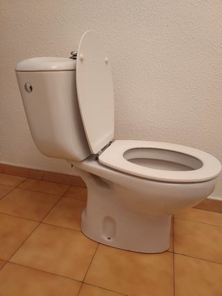 Inodoro marca Roca Victoria blanco 