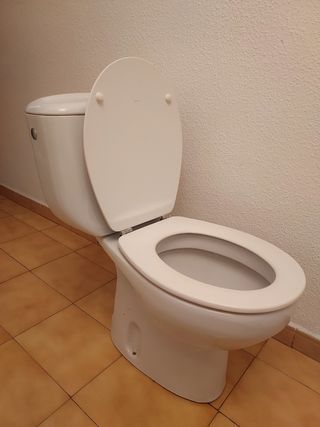 Inodoro marca Roca Victoria blanco 