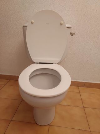 Inodoro marca Roca Victoria blanco 