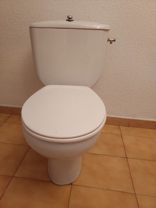 Inodoro marca Roca Victoria blanco 