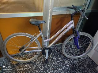 Bicicleta de montaña Longway Alutek