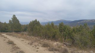 Finca en Chinchón pegada a carretera