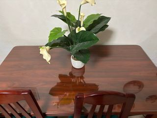 Mesa de comedor de madera y cristal pegable 