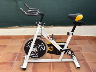 Bicicleta Spinning GM Sports