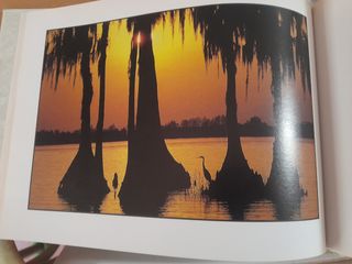 Frases Integral Blanca Herp Libro Precioso