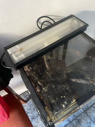 Terrario para camaleón con luz