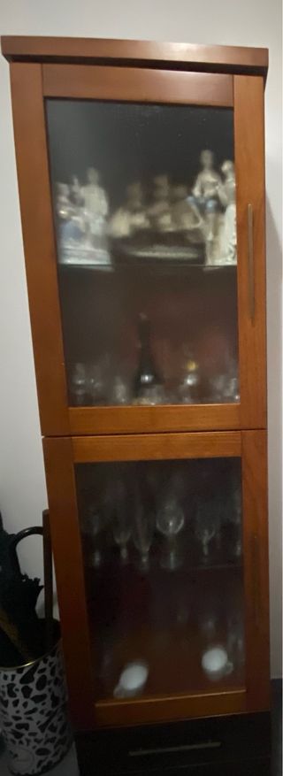 Vitrina de madera y cristal