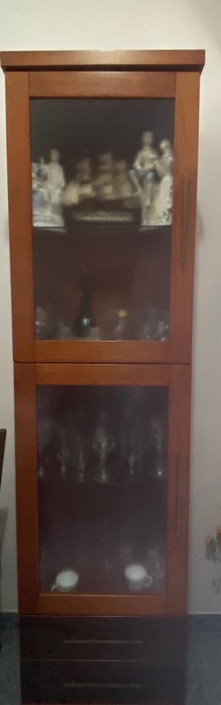 Vitrina de madera y cristal