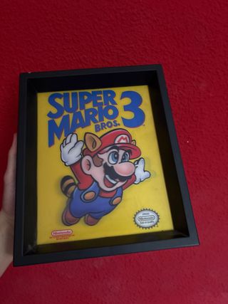 Cuadro Super Mario Bros 3 Nintendo