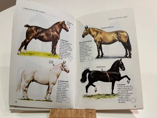 Libros para pequeñas amantes de los caballos