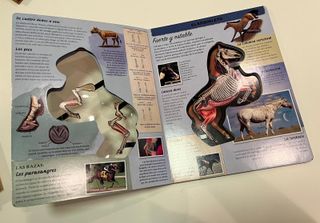 Libros para pequeñas amantes de los caballos