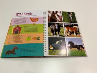 Libros para pequeñas amantes de los caballos