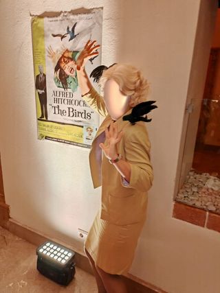 Disfraz película Los Pájaros Tippi Hedren