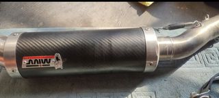 Terminali Mivv Carbonio