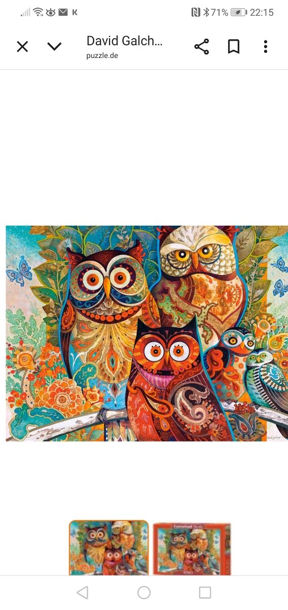 Quadro Puzzle Gufi David Galchutt