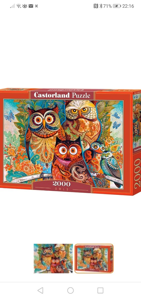 Quadro Puzzle Gufi David Galchutt