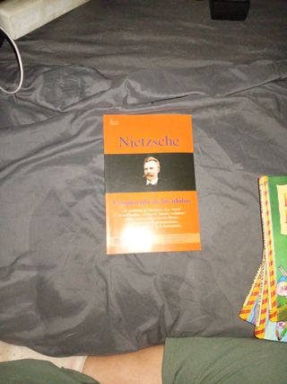 Nietzsche. Crepúsculo de los ídolos (Spanish Ed...