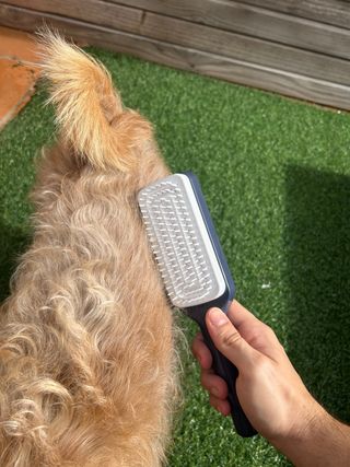 Cepillo de Pelo Auto Limpiador