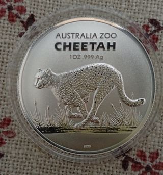 Onza Plata Australia Zoo Cheetah