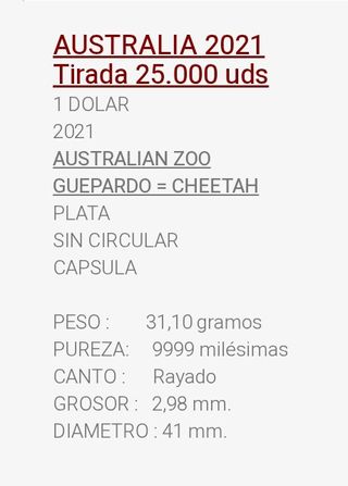 Onza Plata Australia Zoo Cheetah