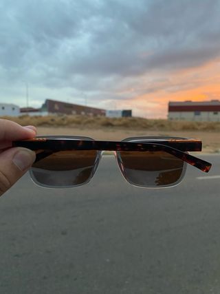 Gafas de sol Timberland grises y marrones