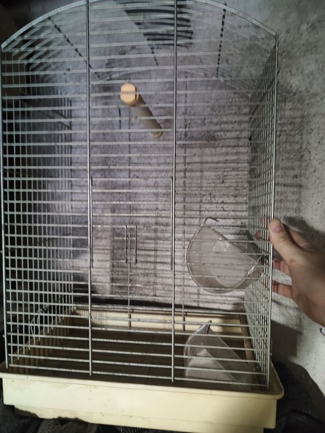 Jaula para pájaros exóticos