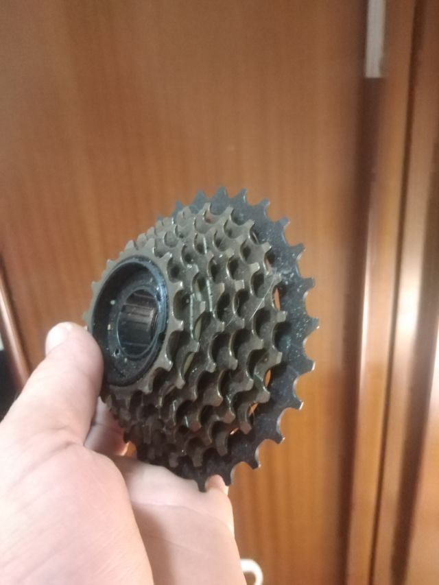 Piñonera Roscada 7 Velocidades