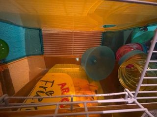 Jaula Terrario Hamster 3 Niveles