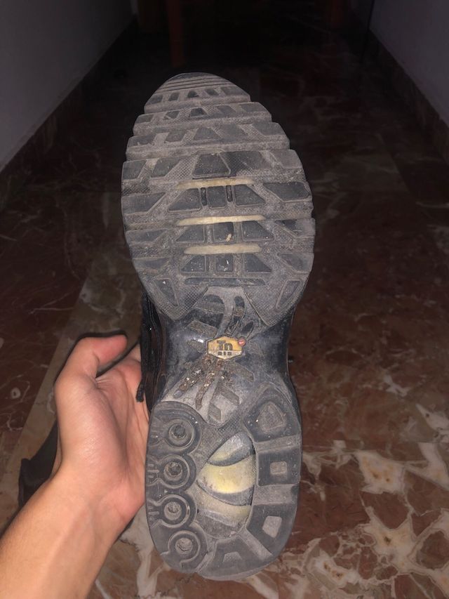 Nike TN Air Max Plus Negras