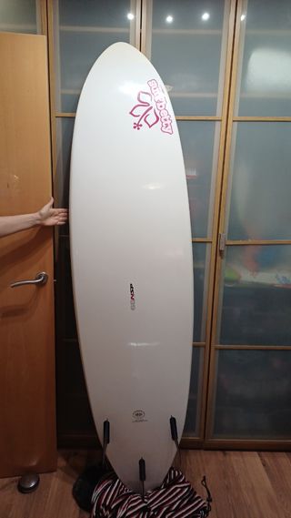 Tabla de surf y skimboard