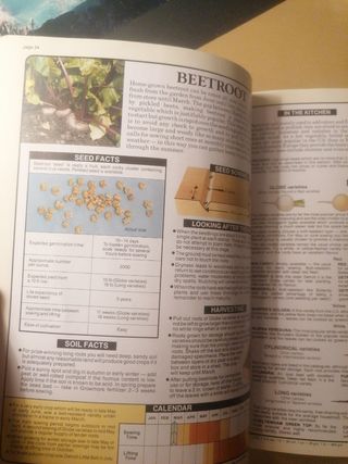 Dr. Hessayon Verduras y hierbas guía ing