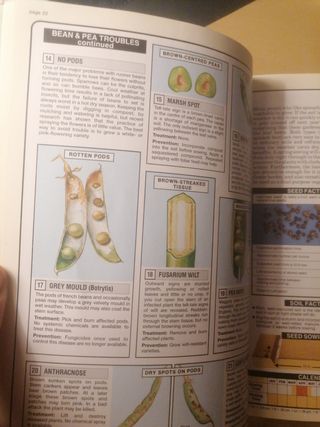 Dr. Hessayon Verduras y hierbas guía ing