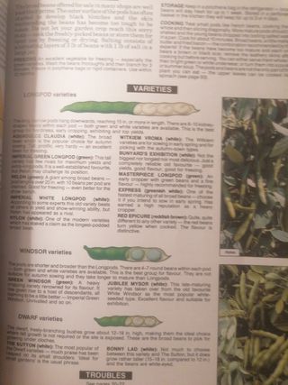 Dr. Hessayon Verduras y hierbas guía ing