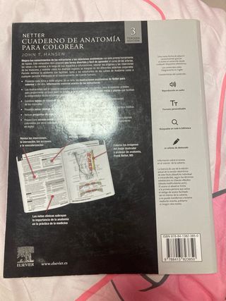 Netter. Cuaderno de anatomía para colorear: 2ª ...
