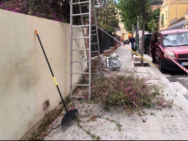 Servicio de poda de arboles y general